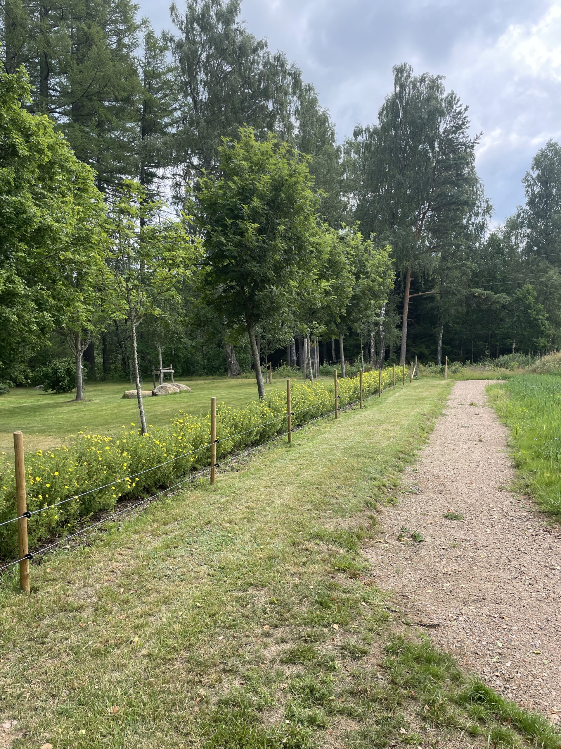 Alphems Arboretum Floby