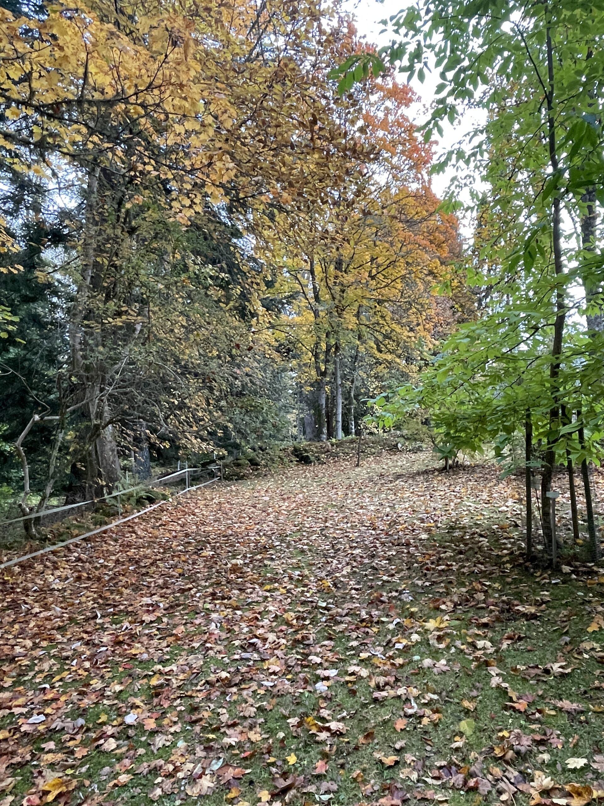 Alphems Arboretum Floby