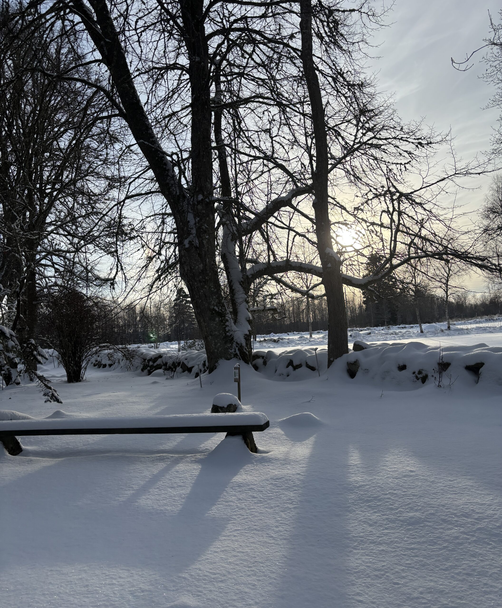 IMG_4990 Alphems Arboretum Floby