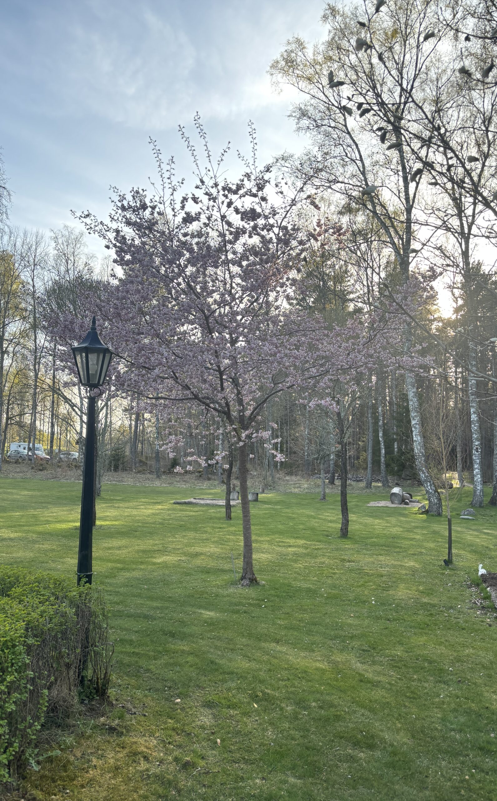 Alphems Arboretum Floby